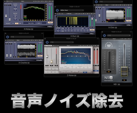 録音データから不要なノイズを徹底的に除去します 大切な録音データを高度な最新技術を使ってクリアにします。 イメージ1