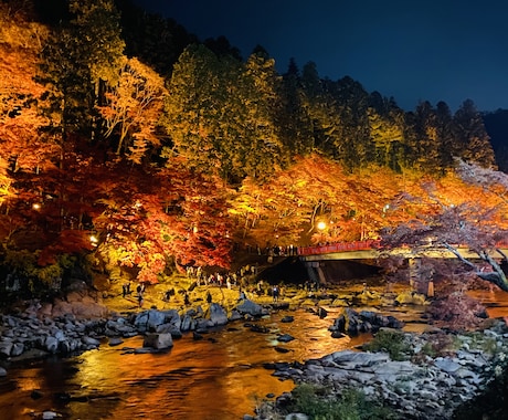素敵な写真お届けします イメージ1