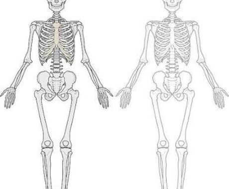 理学療法士と作業療法士夫婦が全力サポートいたします PT/ＯＴ両方なので、多彩なジャンルの悩みに対応できます。 イメージ2