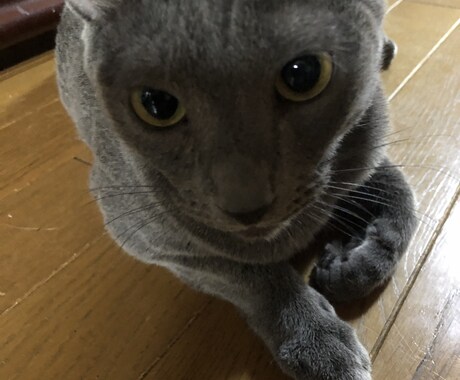 貴方様の恋愛特化占いさせていただきます 少し辛口！片思い、お相手様の気持ち、アドバイス。 イメージ1