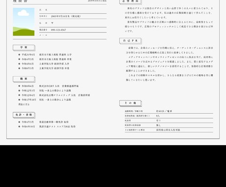 履歴書　職務経歴書PDF作成　代行いたします 安心！安い！面倒な履歴書、職務経歴書のPDF作成を代行！！ イメージ2