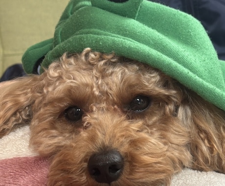 恋愛面について相談に乗ります なんでもお話聞きます。恋愛についてはどしどし！ イメージ1