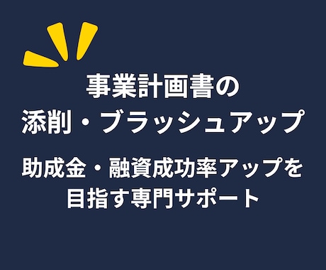 短納期！成功を後押し、事業計画書をレビューします 経営コンサルのプロが事業計画書のレビュー改善提案で成功を支援 イメージ1