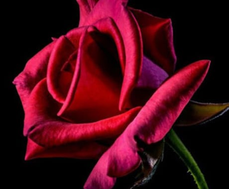 未来を占い素敵な方向に導きます 恋愛、金運、お仕事運、人間関係など明るい未来に繋げていきます イメージ2