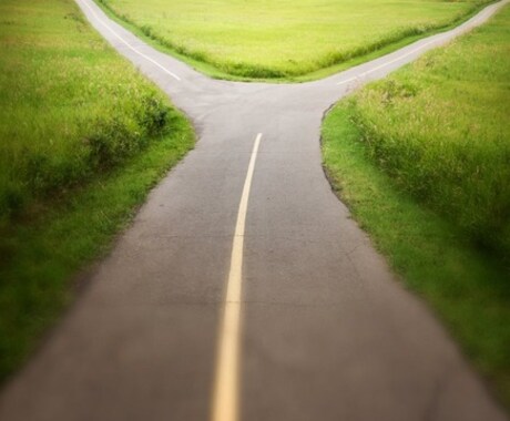 進むべき道に迷ったとき、不安なとき、お役に立ちます 就職or進学？　転職or現状維持？　ふさわしい相手はどっち？ イメージ2