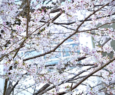 お悩みを聞きます 学校、会社、バイト、生きている事が辛い、等ご相談にのります。 イメージ1