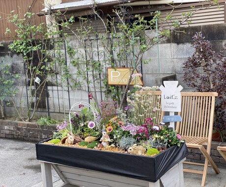 観葉植物、花壇のお花や植栽のアドバイスします 困ったことや映像からわかることをアドバイスとしてお伝えします イメージ1