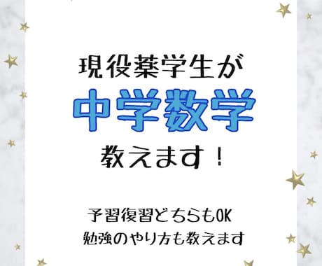 現役薬学生が中学数学を教えます ニガテな子も大歓迎！塾講師歴2年！勉強方法も教えます！ イメージ1