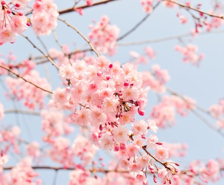 不安や考えすぎでしんどい時、お話聞きます 強迫性障害でつらい気持ちを抱えているあなたへ✨ イメージ2