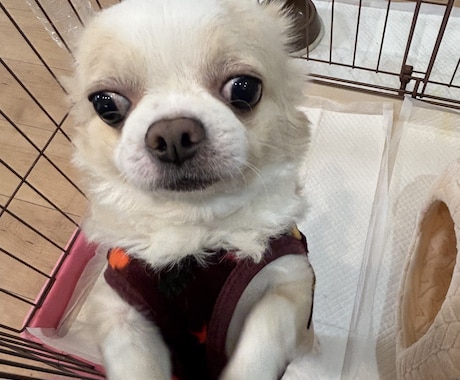 とりあえず聞いてほしい内容から深刻な悩み聞きます どんなジャンルでもOKです。短時間でも対応致します。 イメージ1