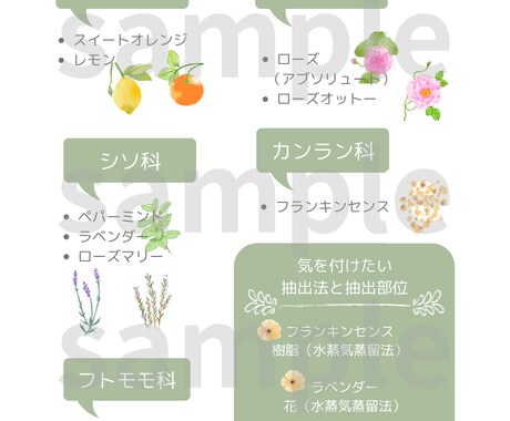 アロマテラピー検定2級のまとめを送ります 私自身「これがあればなぁ」と思ったポイントまとめを作りました イメージ1