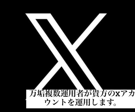 Xアカウント（旧Twitter）運用代行を行います 確かな実績と経験から、ご依頼者様のX運用をサポート致します。 イメージ1