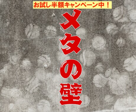 成長し続けたいあなたの「壁」になります 『メタの壁』- 自己認識を深めるインタビューコーチング イメージ1