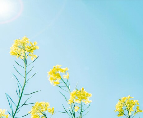 恋愛、人間関係、人生相談の悩みを解決に導きます 不安をなくし、日々を明るく楽しく過ごせるようにサポートします イメージ2