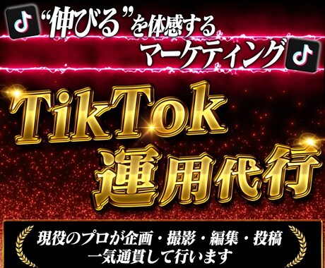 実績豊富!!50万人の私が運用代行します 初心者でも安心!!現役プロがTikTok完全運用サポート!! イメージ1