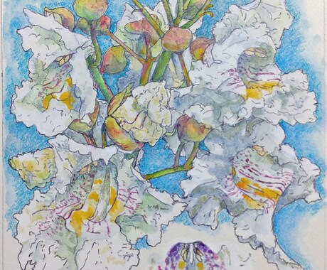 5000円の範囲内でイラストの制作行います 動物、植物、建物、デザイン等。5000円範囲で製作します。 イメージ2