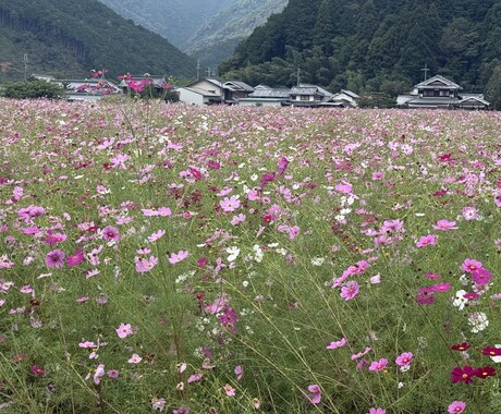 どんなお話でも聞きます 悩んでることやただ聞いてほしことだけでもいいです イメージ1