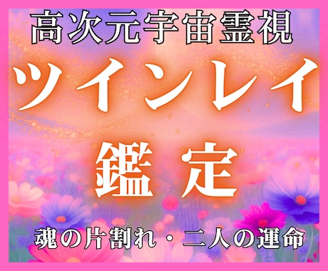 一向に動かない現実・サイレントの苦しみを打破します 高次元宇宙霊視で視る魂の設計図と魂の試練の根本原因と未来軌道 イメージ1