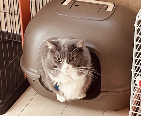 総務課事務の苦労お聞きします 総務課平社員10年課長5年の総務課のプロが悩み聞きます。 イメージ1