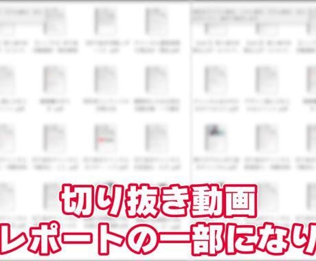 切り抜き動画チャンネル運営攻略レポートを販売します YouTube切り抜き動画のチャンネル運営攻略マニュアル販売 イメージ2