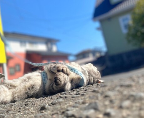 お話しききます 恋愛でも、これからの人生でもどんなお話でも イメージ1