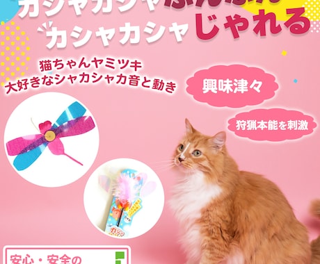 中国輸入やAmazon・楽天・ヤフーの画像作ります カタログ画像まで手が回らない方やプロに頼みたい方へ イメージ2