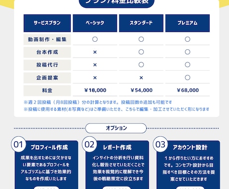 TikTok運用代行します 英語対応可｜初心者〜法人｜集客・ブランディング・採用支援 イメージ2