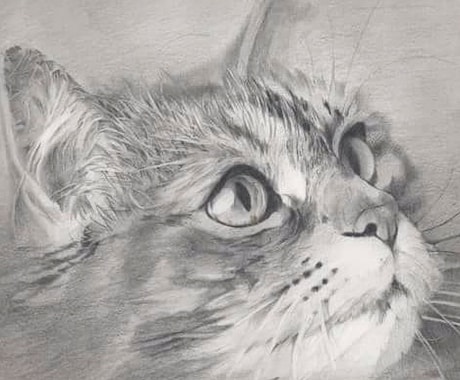 お写真を元に本格的なペットの鉛筆画を描きます かわいいペットの絵にして残しませんか？ イメージ1