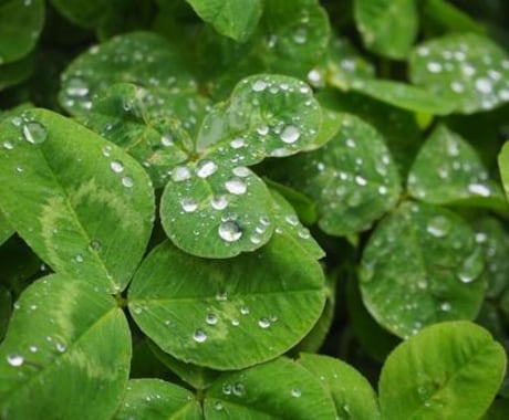 死にたいと考えているアナタ。お電話お待ちしています 今の気持ちを吐き出してください。ゆっくりお聞きします。 イメージ1