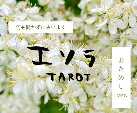 初回3名限定⭐︎500円⭐︎何も聞かずに占います ⭐︎お試し版⭐︎直感タロット【現状/課題/アドバイス】 イメージ1