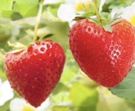 なんでもお話し下さい。すっきりするまでお聞きします とにかく吐き出しましょう^_^ イメージ1