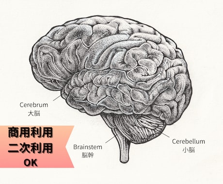 完全手描き/医療・ヘルスケアの精密イラスト描きます 学会スライドにも好評！高級書籍の様なリアルモノクロイラスト イメージ1