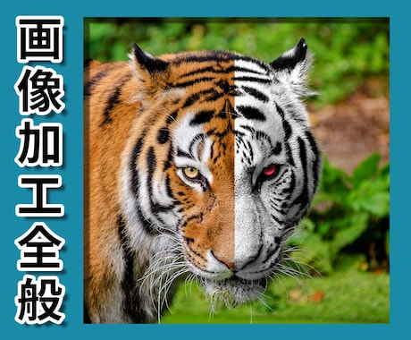 プロが画像加工・修正(レタッチ)いたします 写真館での業務経験を活かして画像加工いたします イメージ1