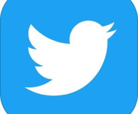現役コピーライターがツイッター運用コンサルします フォロワー14000人！多数企業案件も頂いてるコピーライター イメージ1