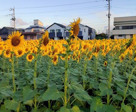 今、何が必要ですか？　明日について話し合います あなたの長い旅は終わりましたか？　旅はまだ続きますか？ イメージ1