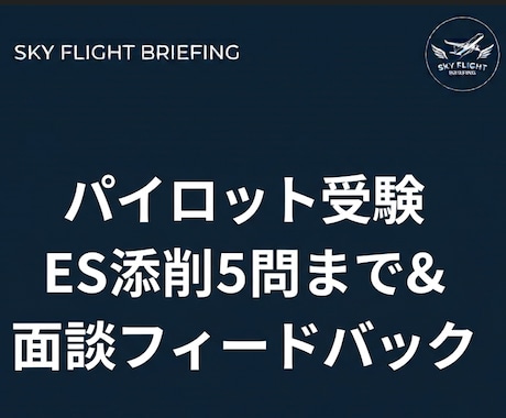 パイロット受験ES添削とフィードバック面談します 航空現場のリアル×大手ビジネス思考で面接官に響くESへ イメージ1
