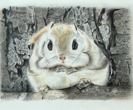 写真からペットイラストを色鉛筆で手描きします 写真とは違う温もりを優しいタッチで、心を込めて制作します イメージ1