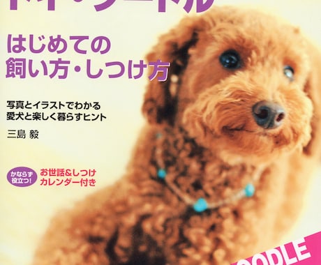 愛犬の困った！ミッシーの総合診療科で解決目指します 新規の相談者向け／【診断書】発行致します イメージ2