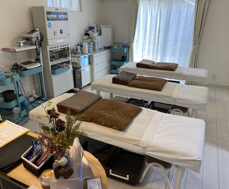鍼灸を用いた治療、美容の仕方を教えます これから鍼灸師として働くのに必要な知識を教えます。 イメージ1