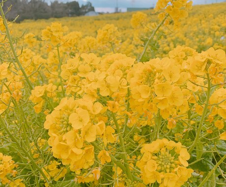 心の問題やいじめ、恋愛、復縁、など何でも乗ります あなたの幸せの為に全力で乗ります！ イメージ1