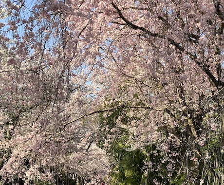 観光客の知らない京都の穴場旅行プランを作成します 最適な京都旅行プランを作成。日本語・英語対応可能です。 イメージ1