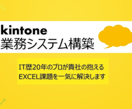 kintoneの業務システムを最短1週間で作ります 【IT歴20年】貴社の抱えるExcel課題を一気に解決します イメージ1