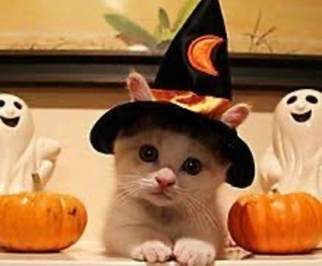 タロットオラクルカード霊視にて占います 相手の気持ち今後を24時間以内にお伝えします。 イメージ1