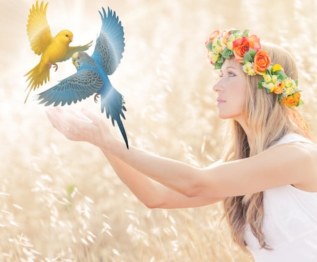 鳥さんの魂と心をオーラ鑑定いたします 小さなサインを見逃さず優しく読み解きます イメージ2