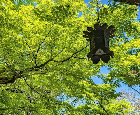 亡くなったあの人の声聞きます 亡くなった大切な人やペットの気持ちお伝えします。 イメージ1