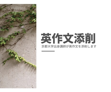 3枠即日対応！大学受験向け英作文を丁寧に添削します 京都大学出身講師が添削いたします イメージ1