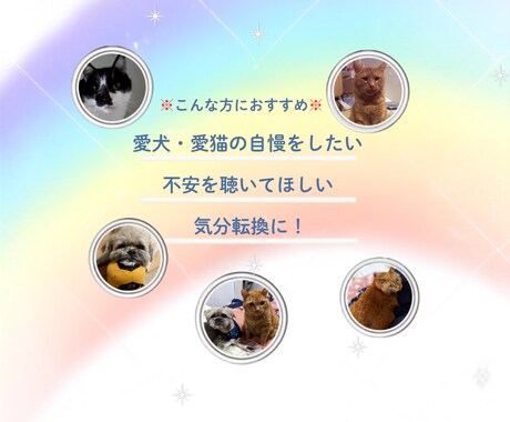 愛犬愛猫を看取った経験者がシニア期の不安聴きます シニア期・介護の不安や本音…一人で抱え込まずお話しください イメージ2