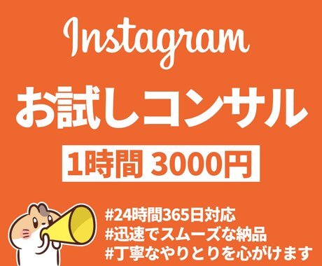 1時間インスタグラム運用のお悩み相談を承ります 迷ったらまずは相談！お試し相談でインスタがもっと楽しくなる！ イメージ1