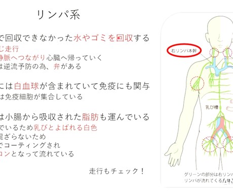 看護師国家試験の解き方理解させます 現役男性看護師が自ら高得点を叩き出したメソッドを教えます。 イメージ1