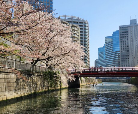 旅行・観光体験事業の造成！OTA掲載ご相談承ります やりたいことへの課題とアクションを明確にした回答を行います！ イメージ2